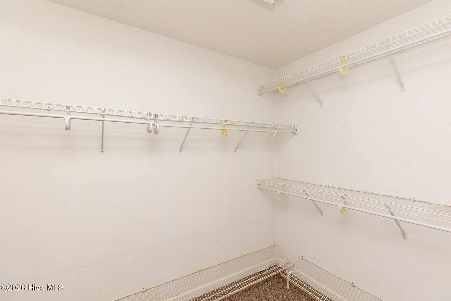 600 Mt Carmel Road Carthage, NC 28327 - Photo 14 of 33 primary closet1