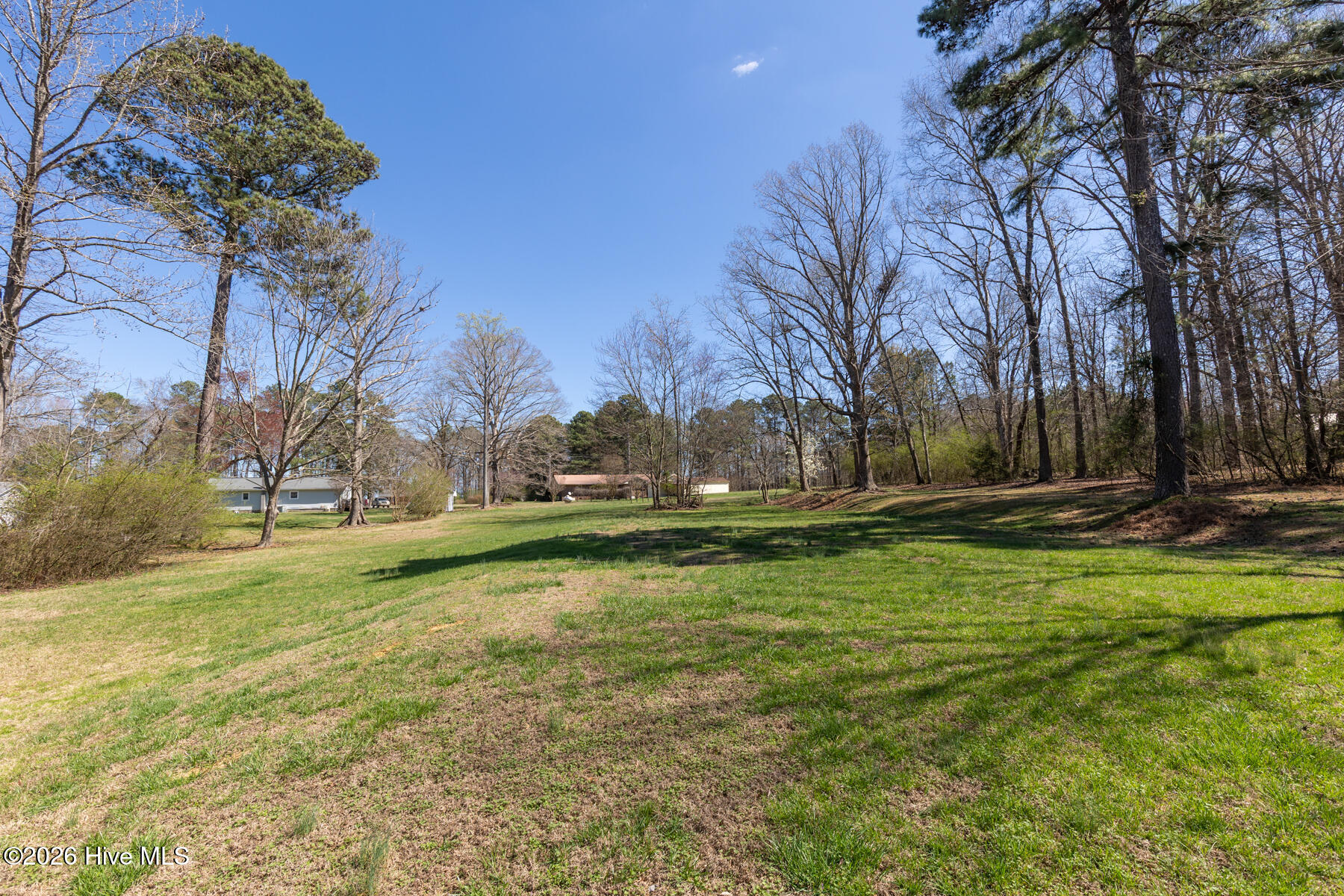 600 Mt Carmel Road Carthage, NC 28327 - Photo 26 of 33 backyard