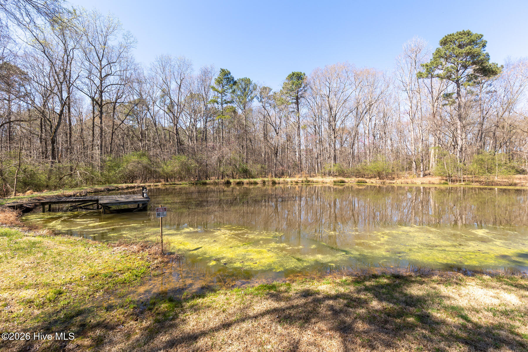 600 Mt Carmel Road Carthage, NC 28327 - Photo 27 of 33 back pond1