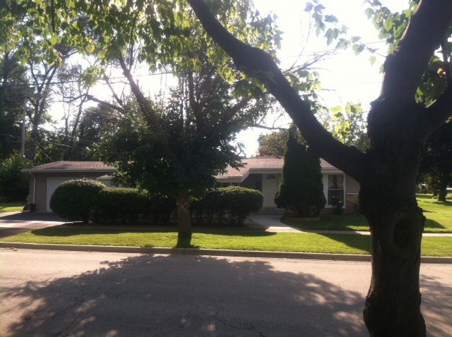 914 East Irving Park Road Itasca, IL 60143 - Photo 1 of 21 a view of outdoor space yard and swimming pool