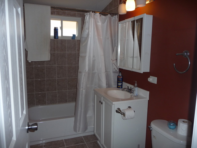914 East Irving Park Road Itasca, IL 60143 - Photo 9 of 21 a bathroom with a shower a sink and a mirror