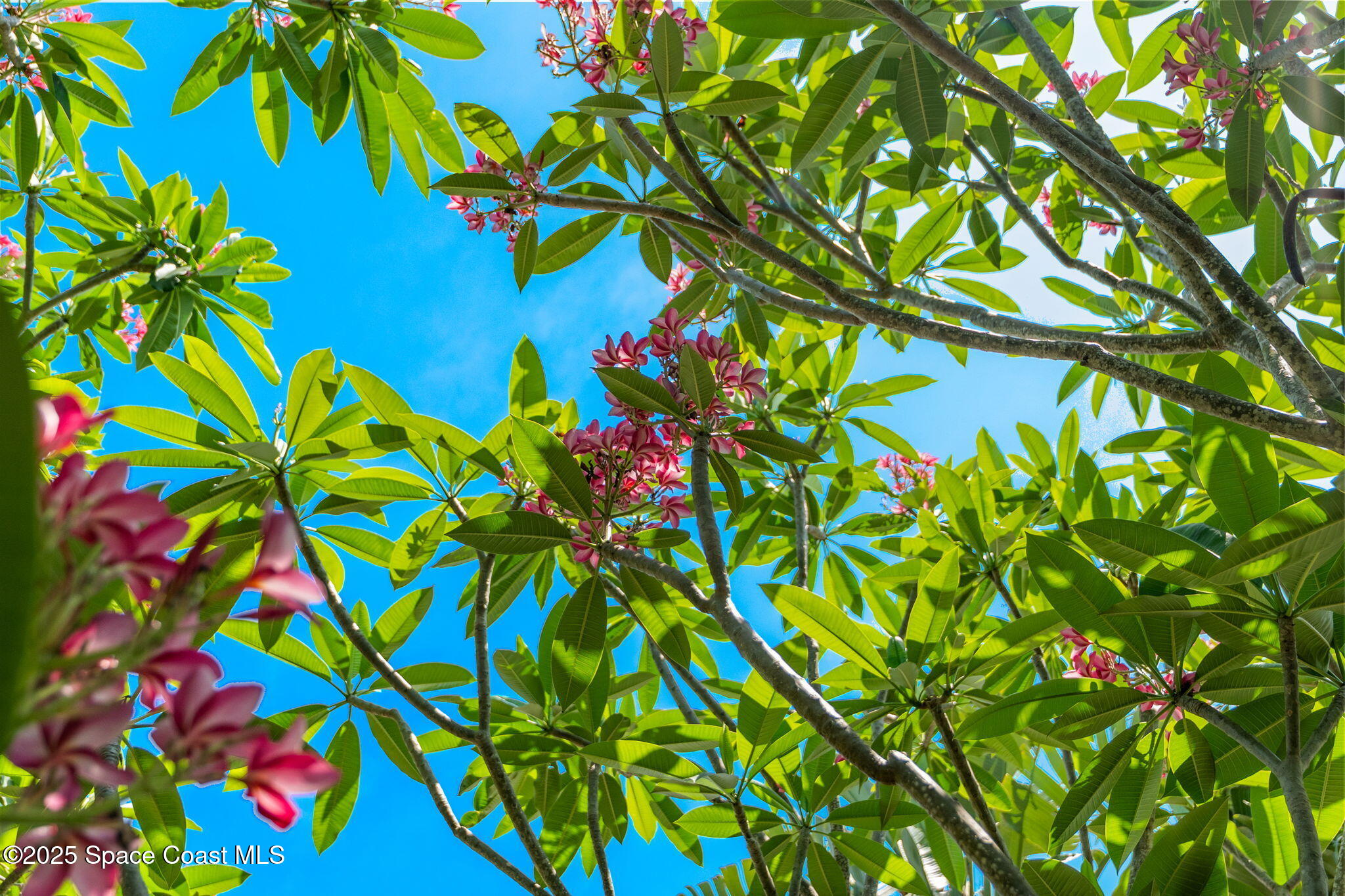 4527 Coquina Ridge Drive Melbourne, FL 32935 - Photo 27 of 102 5-web-or-mls-DSC02940
