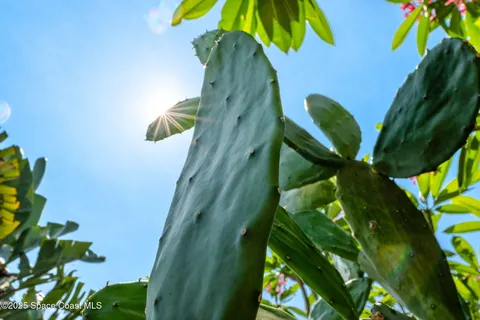 $919,900 | 4527 Coquina Ridge Drive, Melbourne, FL 32935