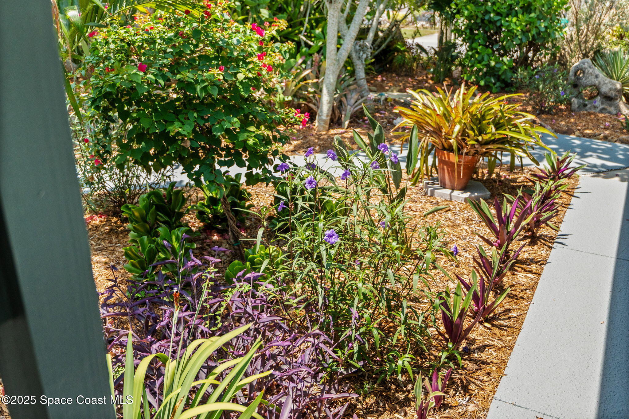 4527 Coquina Ridge Drive Melbourne, FL 32935 - Photo 97 of 102 34-web-or-mls-DSC03023