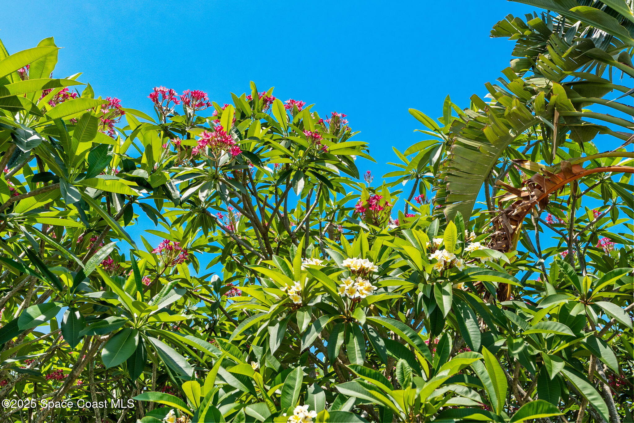 4527 Coquina Ridge Drive Melbourne, FL 32935 - Photo 98 of 102 36-web-or-mls-DSC03032