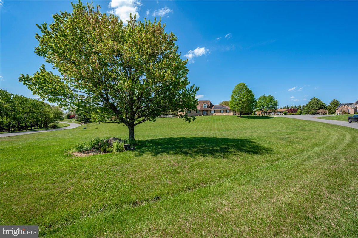 4810 Reyburn Court North Mount Airy, MD 21771 - Photo 7 of 61 a view of a grassy field with trees