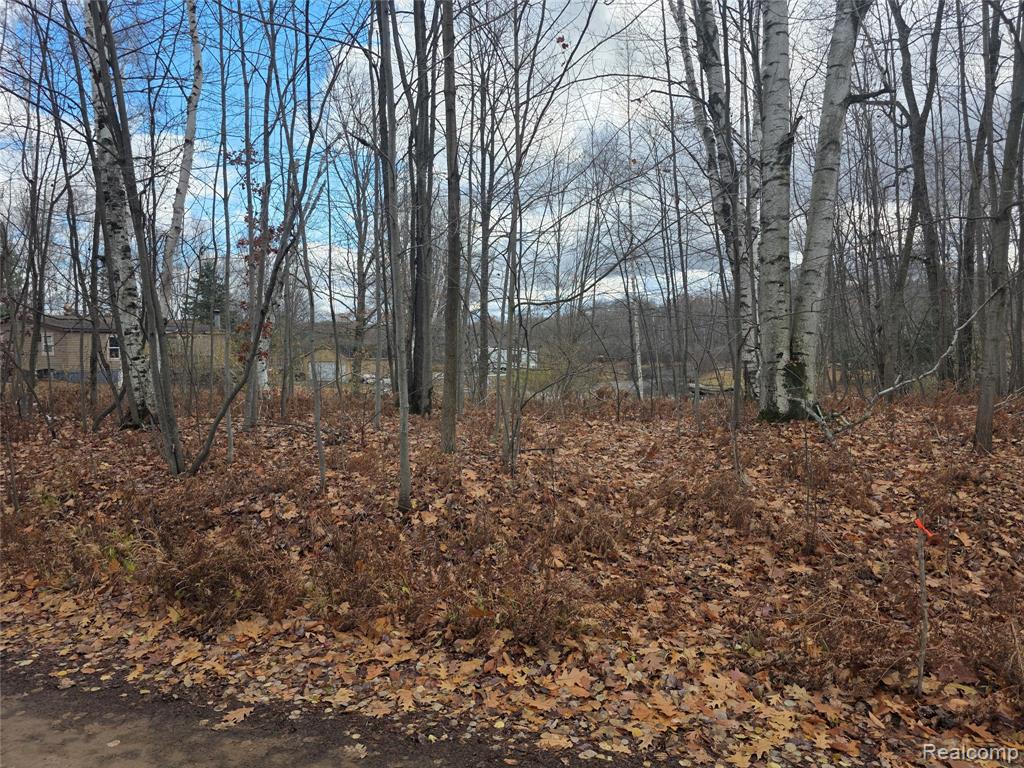 Vl Birch Road Evart, MI 49631 - Photo 1 of 8