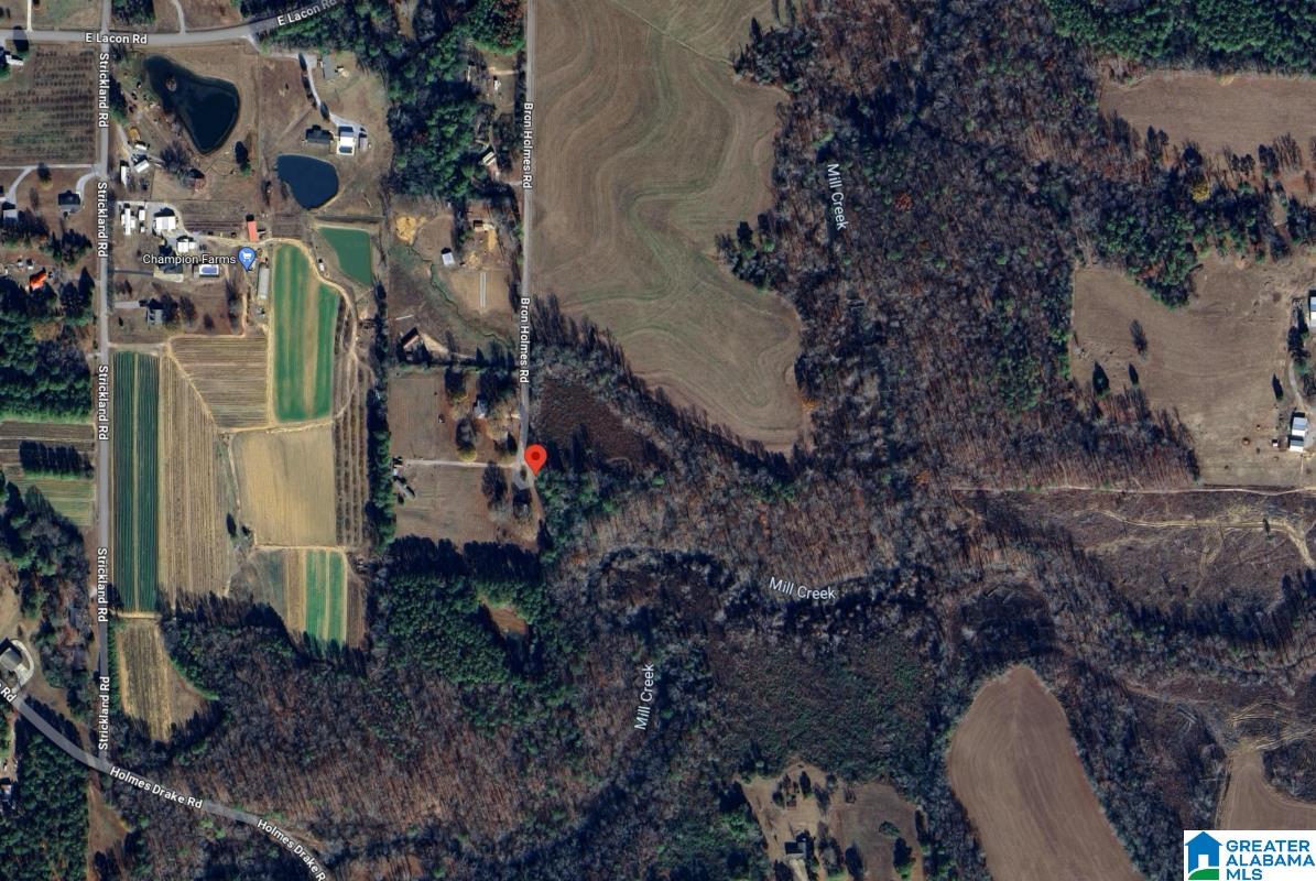 0 Bron Holmes Road Falkville, AL 35622 - Photo 1 of 14