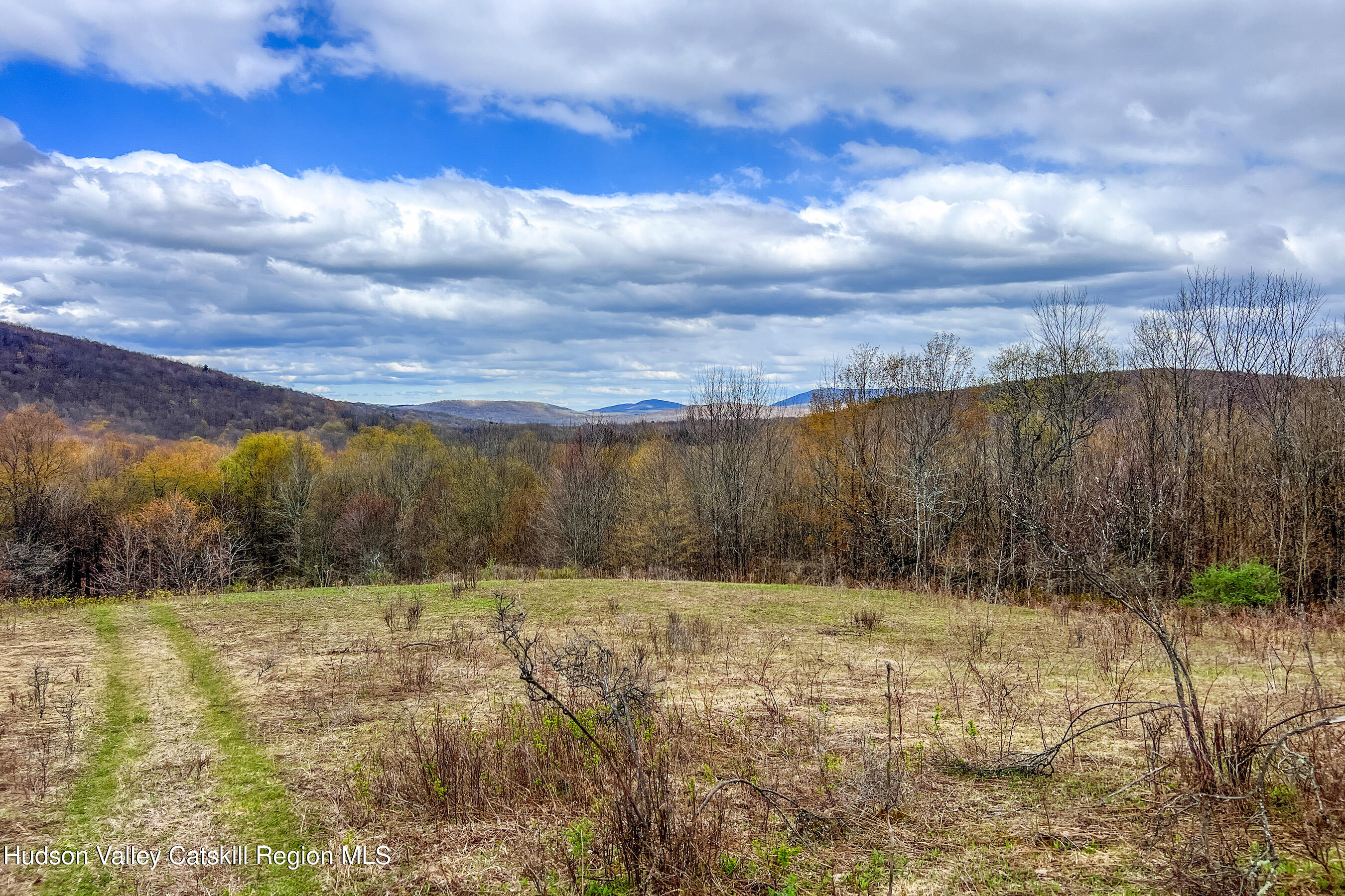 0 Brownell Road Bloomville, NY 13739 - Photo 31 of 39 23 acres Brownell Rd -- 029