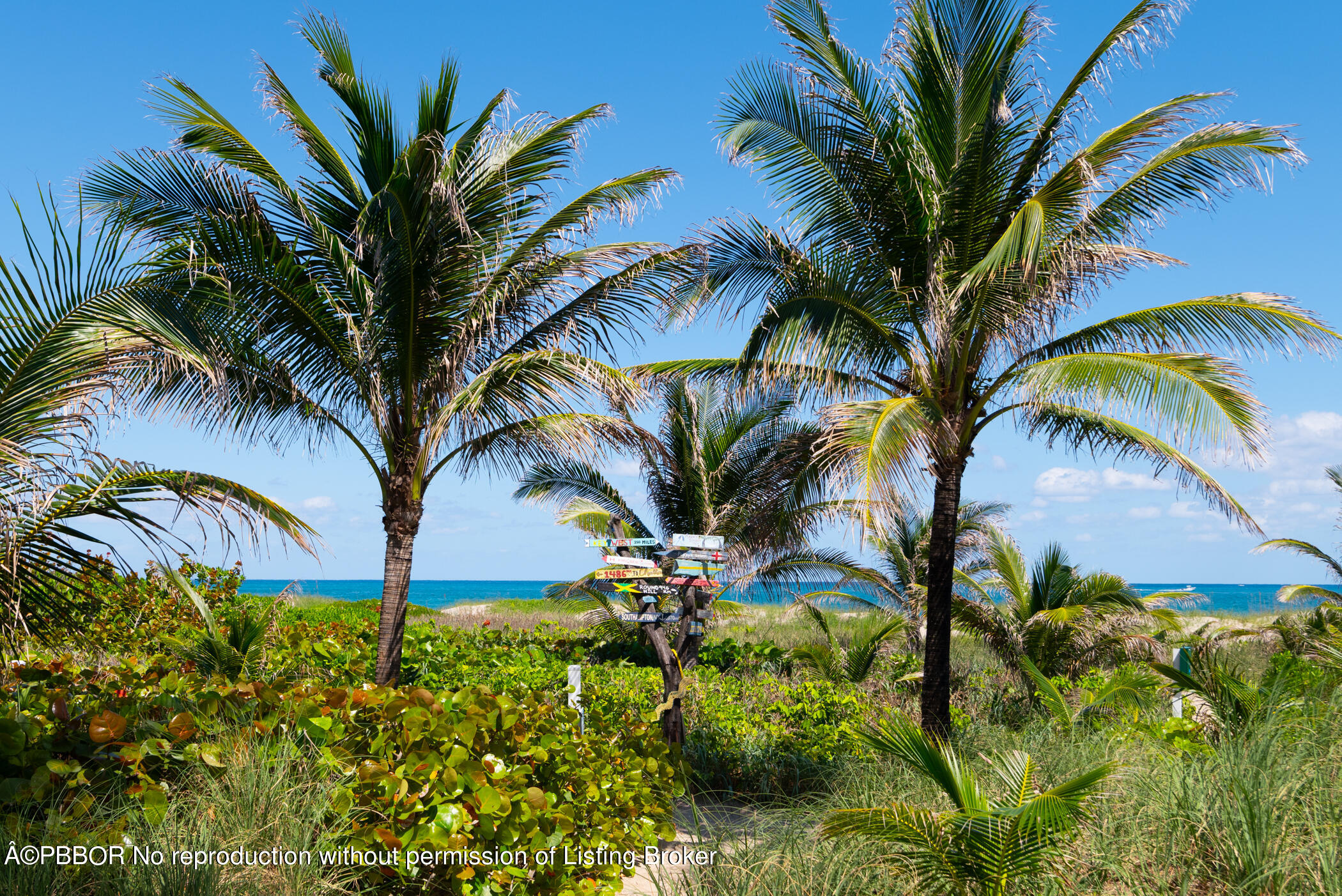 127 Reef Road Palm Beach, FL 33480 - Photo 41 of 56 © Clark-Clark 127 Reef Road-050