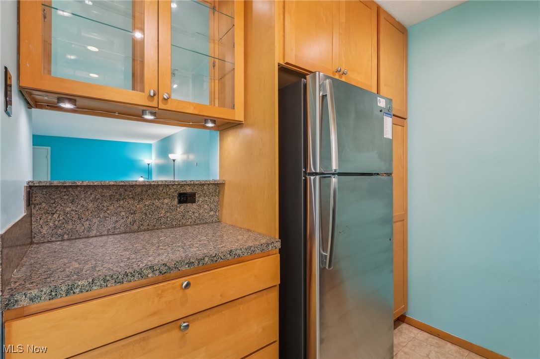 3484 Mayfield Road, Unit 3426 Cleveland Heights, OH 44118 - Photo 7 of 33 Kitchen with baseboards, glass insert cabinets, dark countertops, and freestanding refrigerator