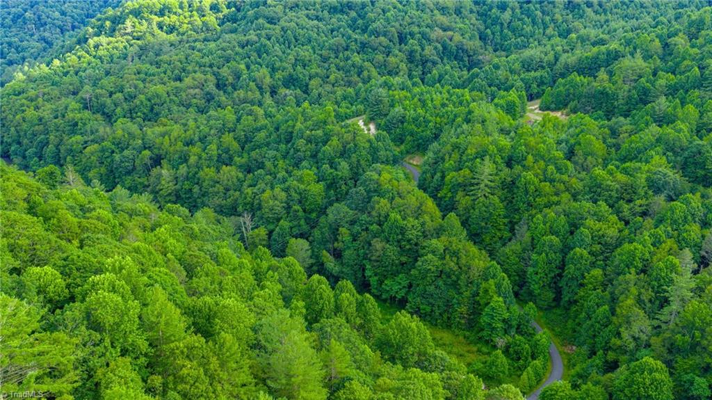 8 Big Laurel Road Creston, NC 28615 - Photo 6 of 13