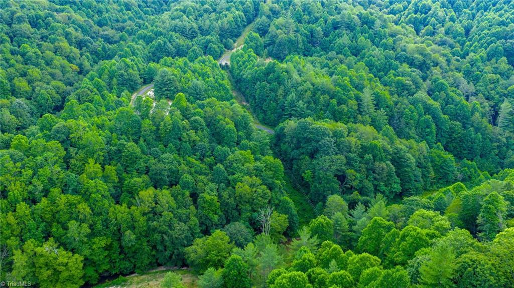 8 Big Laurel Road Creston, NC 28615 - Photo 8 of 13