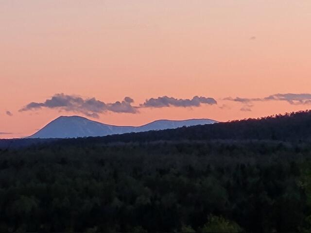 Lot 4 South Oakfield Road Oakfield, ME 04763 - Photo 1 of 16 image4