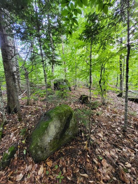 Lot 4 South Oakfield Road Oakfield, ME 04763 - Photo 12 of 16 image14