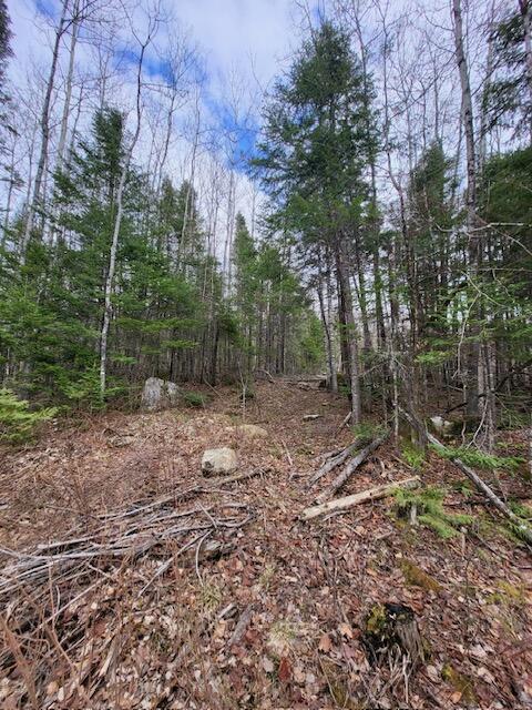 Lot 4 South Oakfield Road Oakfield, ME 04763 - Photo 3 of 16 image1