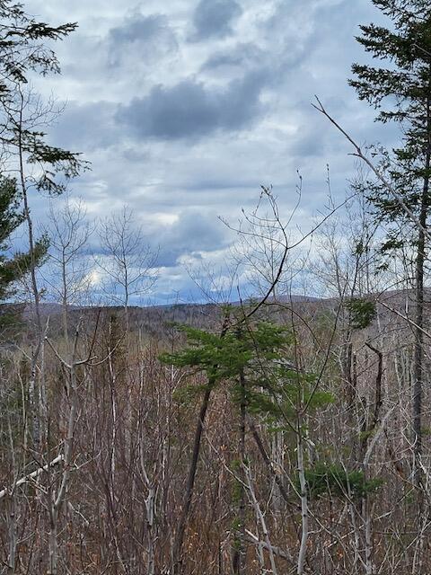 Lot 4 South Oakfield Road Oakfield, ME 04763 - Photo 4 of 16 image0