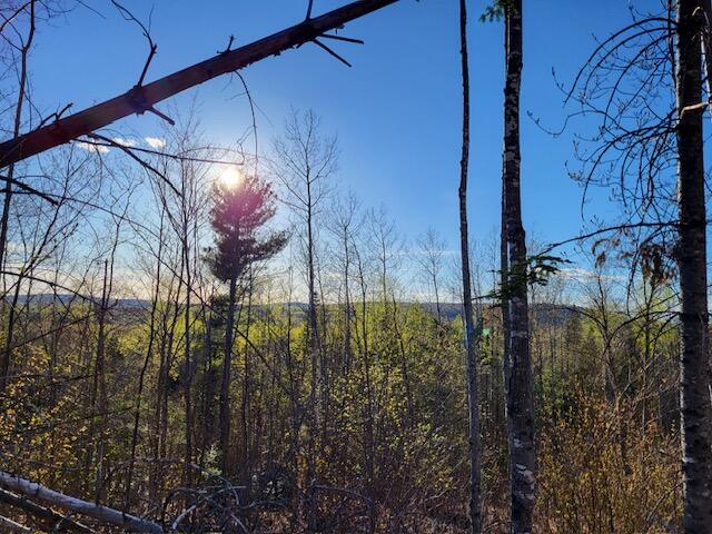Lot 4 South Oakfield Road Oakfield, ME 04763 - Photo 5 of 16 image2
