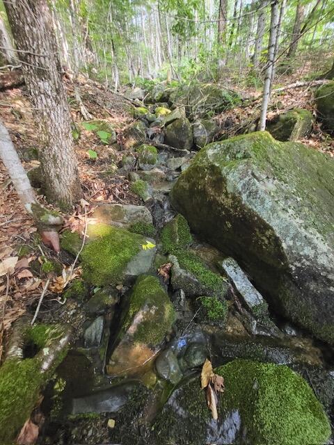 Lot 4 South Oakfield Road Oakfield, ME 04763 - Photo 6 of 16 image6