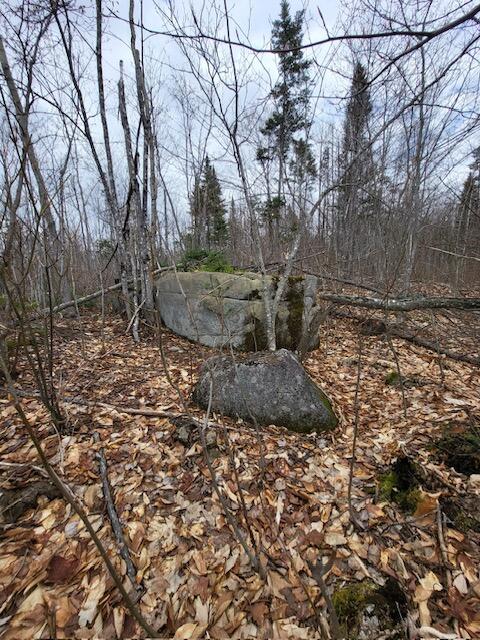 Lot 4 South Oakfield Road Oakfield, ME 04763 - Photo 7 of 16 image7