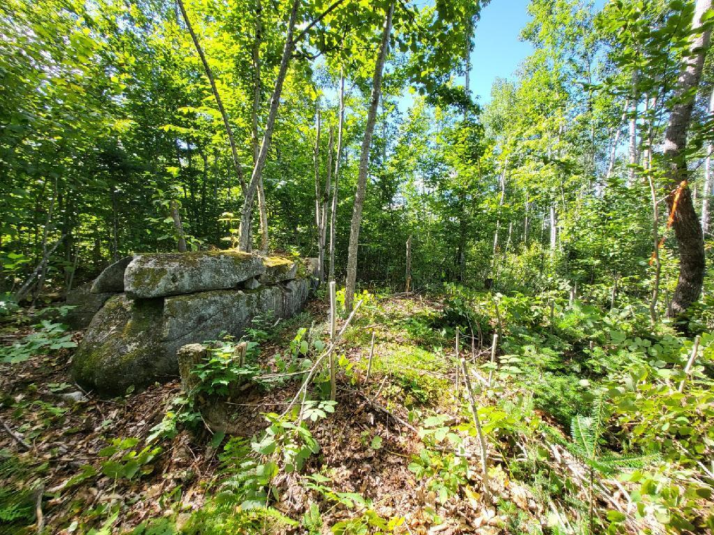 Lot 4 South Oakfield Road Oakfield, ME 04763 - Photo 9 of 16 image11