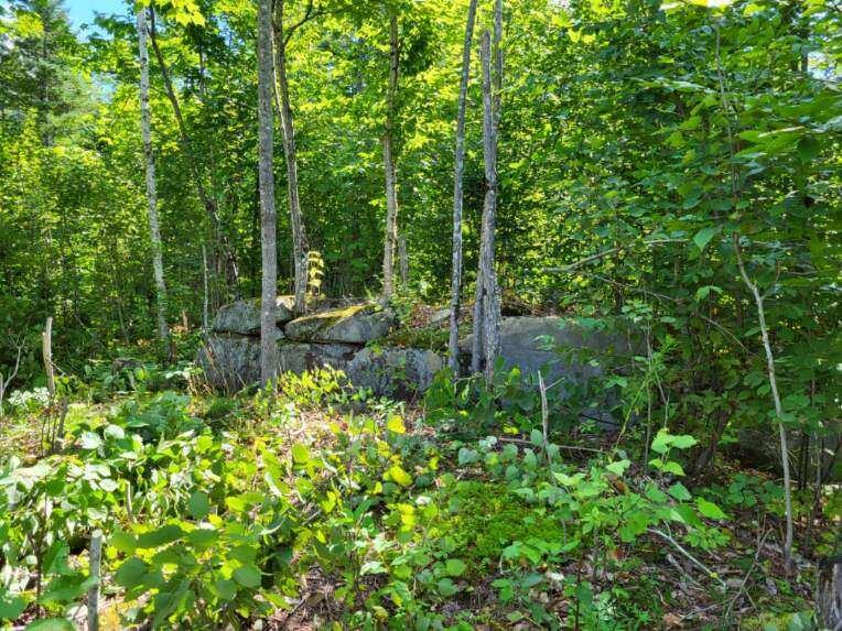 Lot 4 South Oakfield Road Oakfield, ME 04763 - Photo 10 of 16 image12