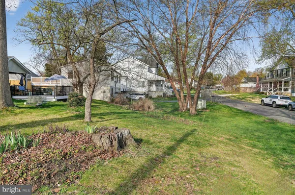 a view of a yard with plants and trees