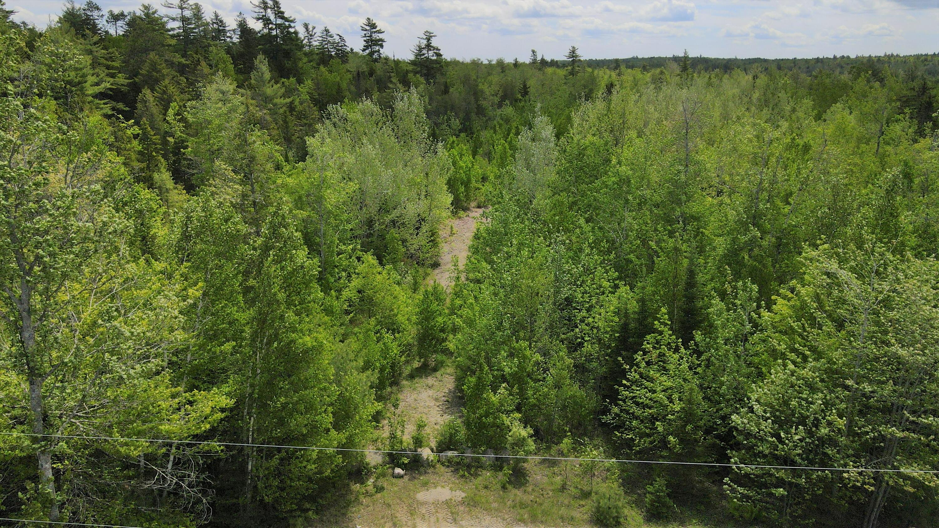 Tbd Nicolin Road Ellsworth, ME 04605 - Photo 4 of 12 04