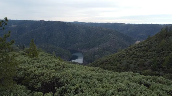 a view of a dry yard with green space