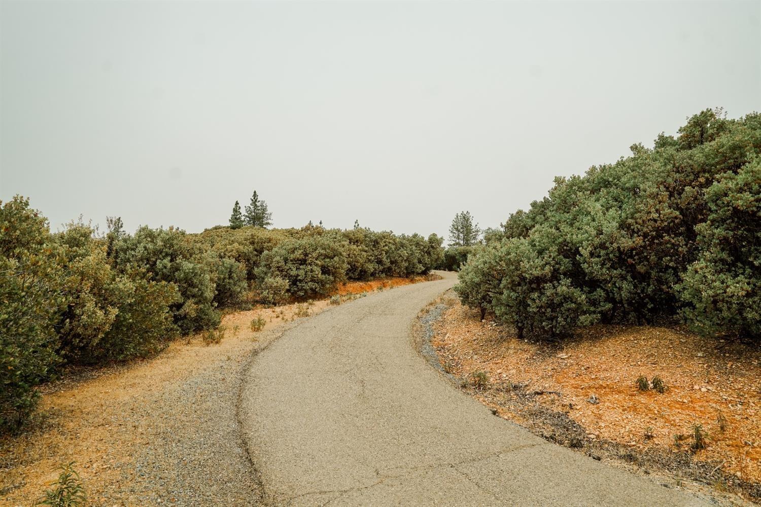 9220 Mule Skinner Road Placerville, CA 95667 - Photo 15 of 15 a view of a dry yard with trees in the background