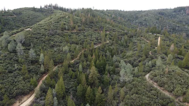 $225,000 | 9220 Mule Skinner Road, Placerville, CA 95667