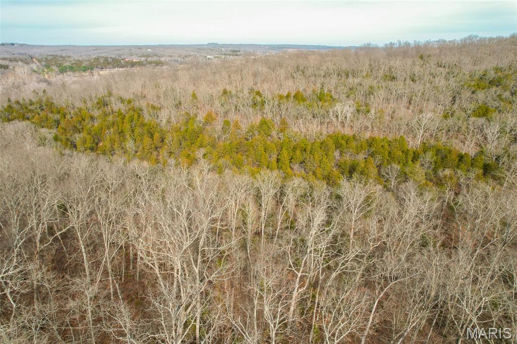 809 Sanctuary Farms Ridge Road Festus, MO 63028 - Photo 11 of 40