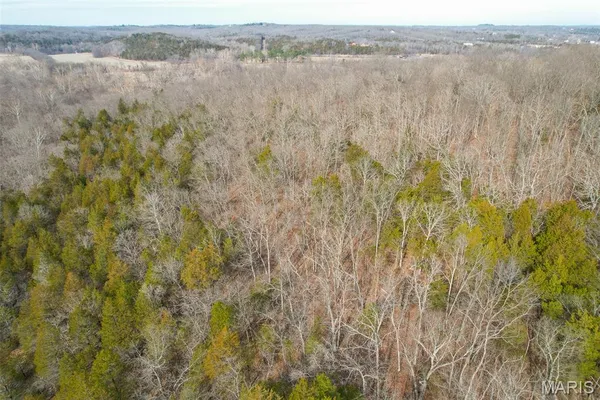 $150,000 | 809 Sanctuary Farms Ridge Road, Festus, MO 63028