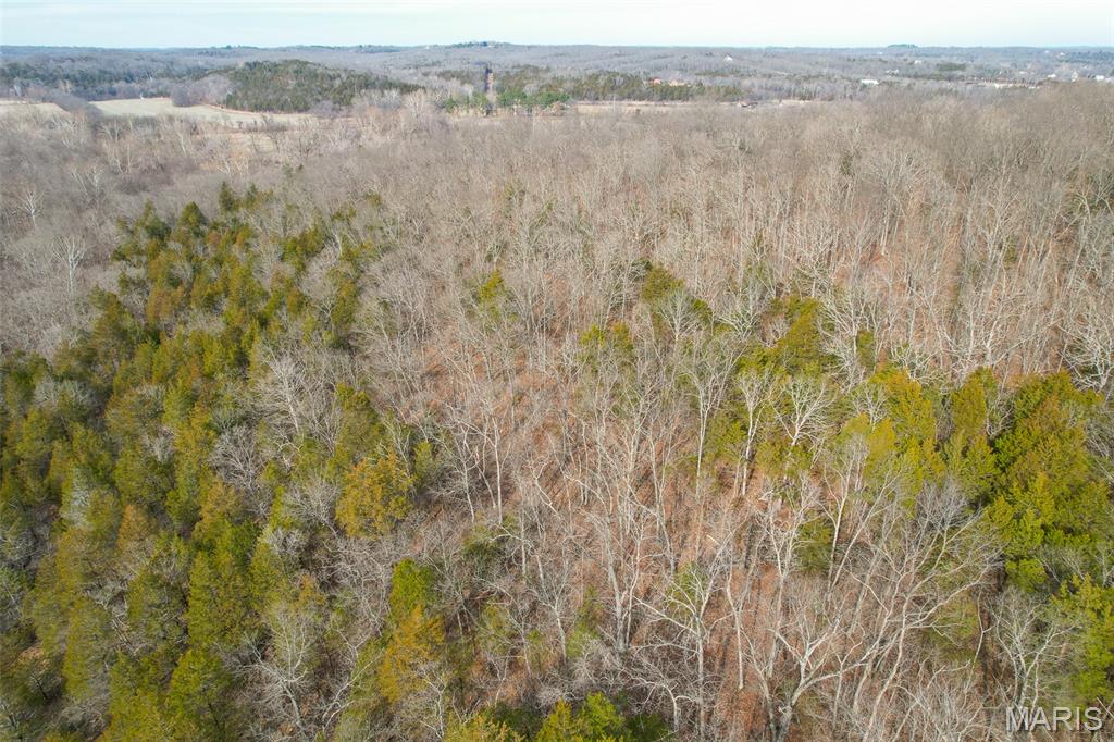 809 Sanctuary Farms Ridge Road Festus, MO 63028 - Photo 13 of 40