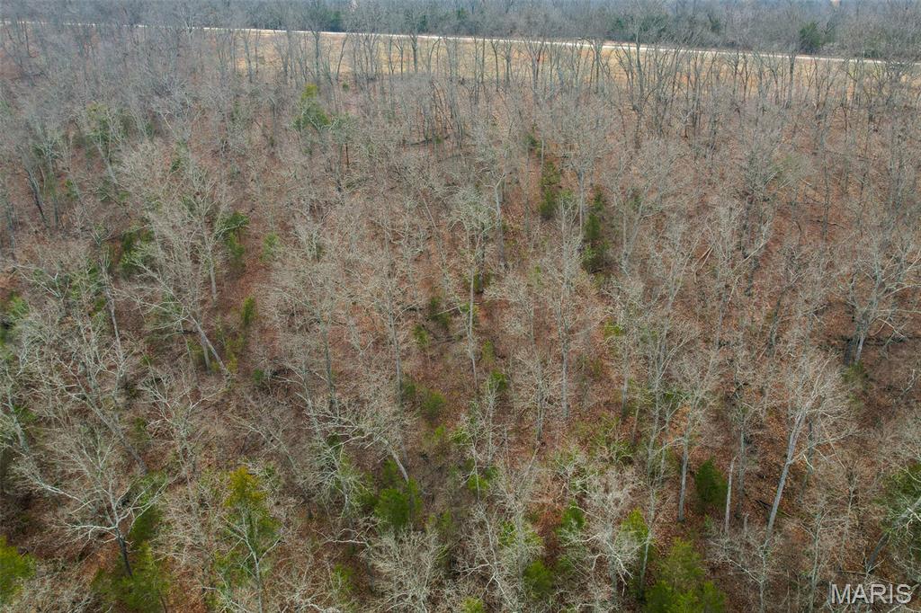 809 Sanctuary Farms Ridge Road Festus, MO 63028 - Photo 14 of 40