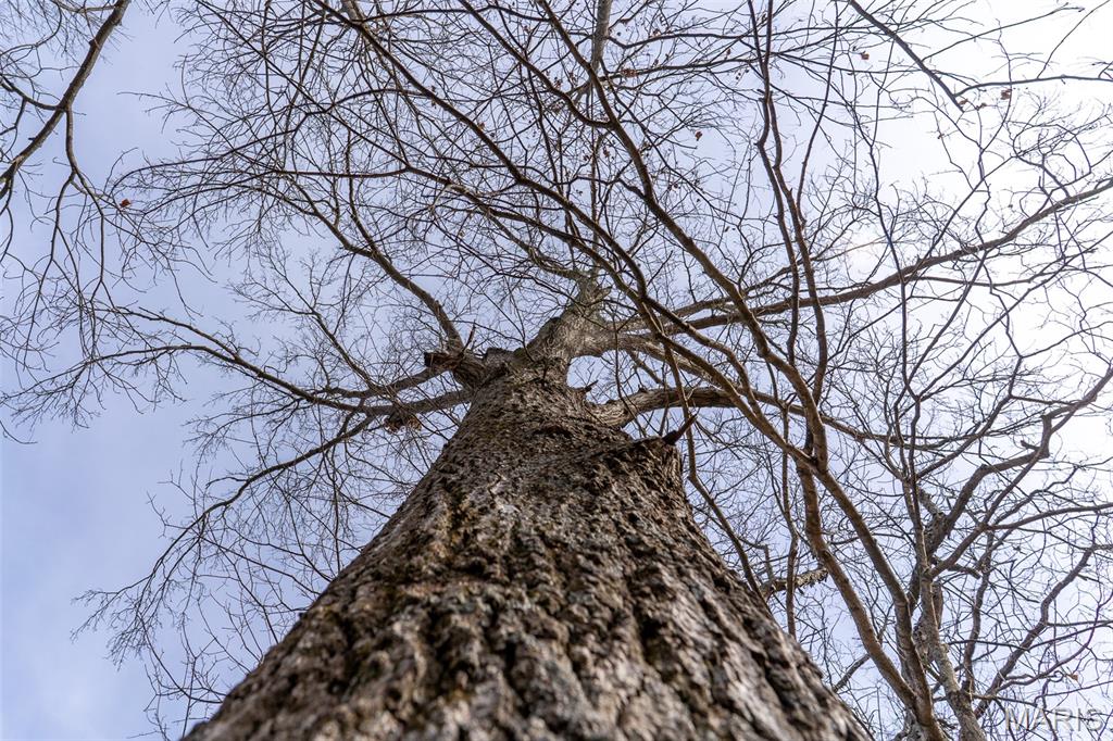 809 Sanctuary Farms Ridge Road Festus, MO 63028 - Photo 15 of 40