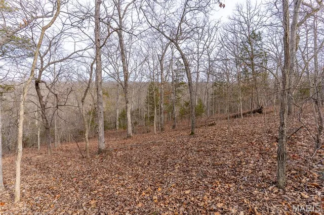 $165,000 | 809 Sanctuary Farms Ridge Road, Festus, MO 63028