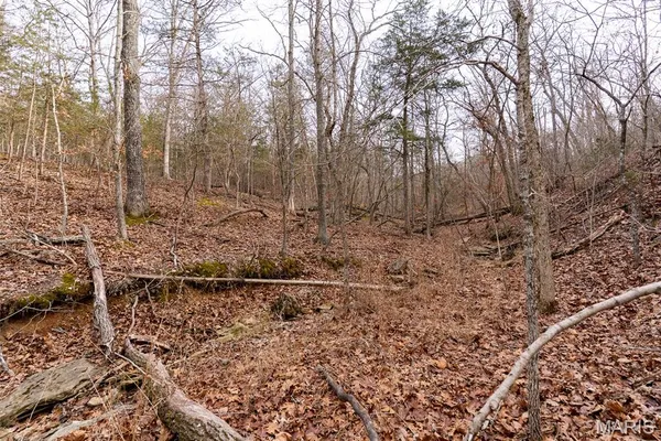 $150,000 | 809 Sanctuary Farms Ridge Road, Festus, MO 63028