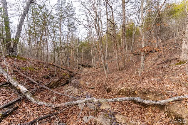 $165,000 | 809 Sanctuary Farms Ridge Road, Festus, MO 63028