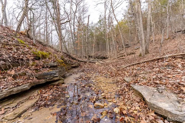 $165,000 | 809 Sanctuary Farms Ridge Road, Festus, MO 63028