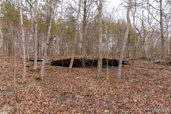 $150,000 | 809 Sanctuary Farms Ridge Road, Festus, MO 63028