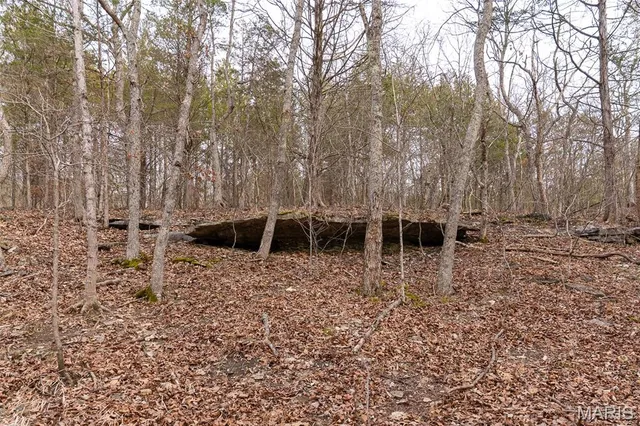 $165,000 | 809 Sanctuary Farms Ridge Road, Festus, MO 63028