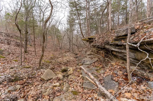 $165,000 | 809 Sanctuary Farms Ridge Road, Festus, MO 63028