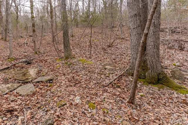 $165,000 | 809 Sanctuary Farms Ridge Road, Festus, MO 63028