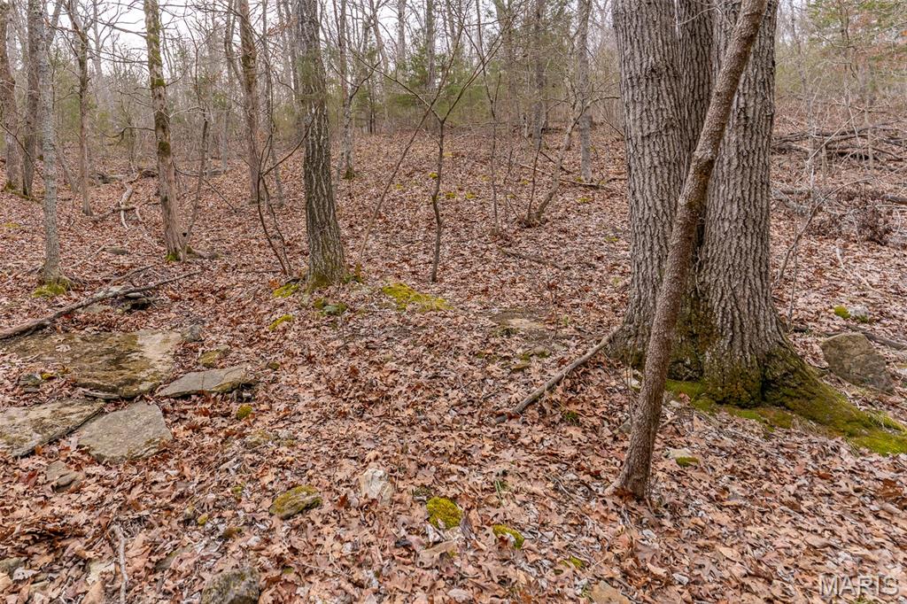 809 Sanctuary Farms Ridge Road Festus, MO 63028 - Photo 22 of 40