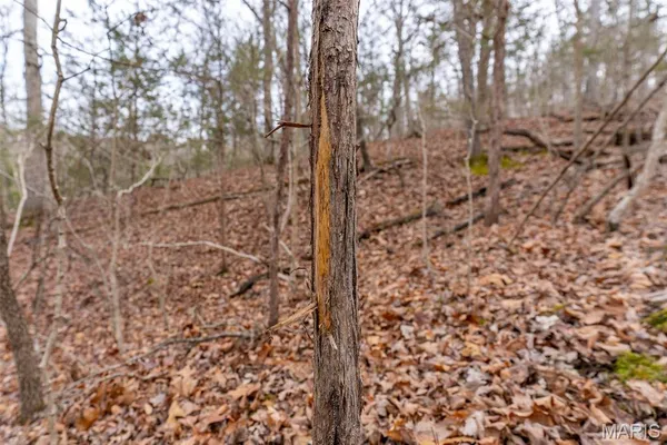 $150,000 | 809 Sanctuary Farms Ridge Road, Festus, MO 63028