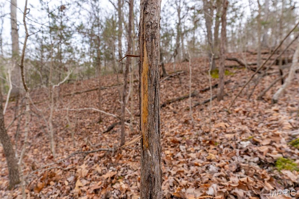 809 Sanctuary Farms Ridge Road Festus, MO 63028 - Photo 23 of 40