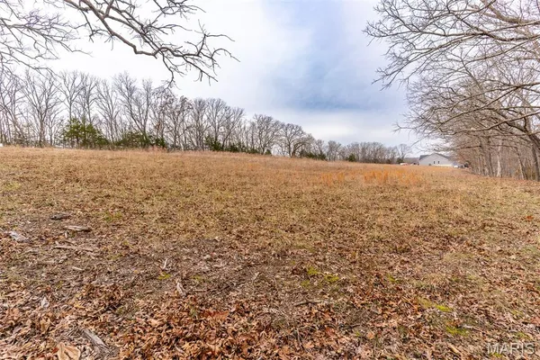 $150,000 | 809 Sanctuary Farms Ridge Road, Festus, MO 63028