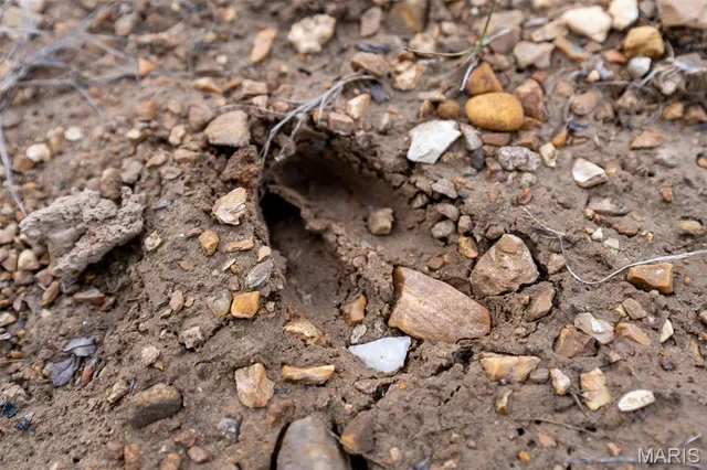 $165,000 | 809 Sanctuary Farms Ridge Road, Festus, MO 63028