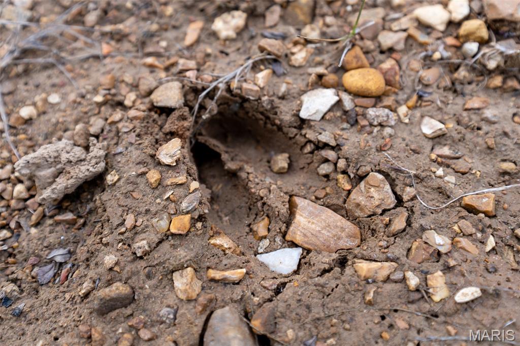 809 Sanctuary Farms Ridge Road Festus, MO 63028 - Photo 26 of 40